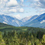 Term Sheet: QuadReal’s European lending plans, Aareal’s latest Paris hotel loan, Lloyds’ proposed SRT transaction